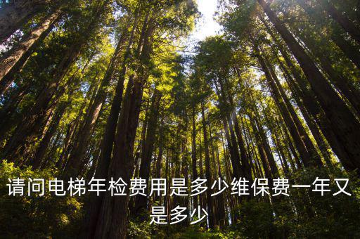 請問電梯年檢費用是多少維保費一年又是多少