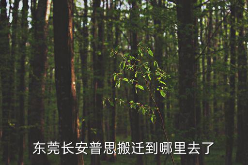 東莞長安普思搬遷到哪里去了