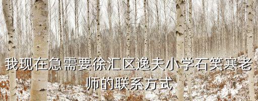 我現在急需要徐匯區逸夫小學石笑寒老師的聯系方式