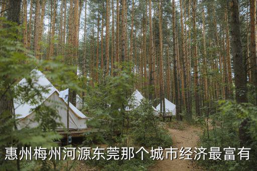 東莞財富排行榜，財富排行在那里找