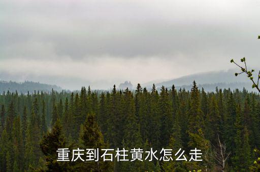 重慶市到黃水能夠坐輕軌嗎，重慶到石柱黃水怎么走