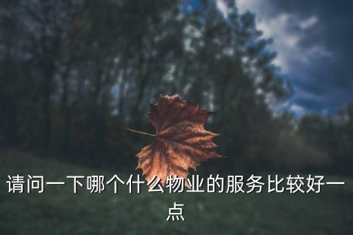 請問一下哪個什么物業的服務比較好一點