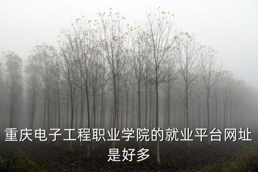 重慶市就業申報平臺，重慶找工作網站當中哪個網站效果最好匯博人才網wwwhuibocom