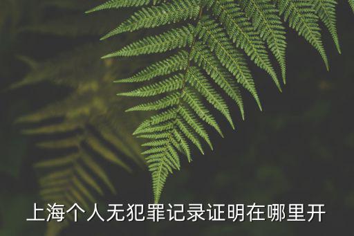 上海個人無犯罪記錄證明在哪里開