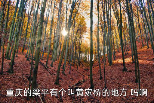 重慶的梁平有個叫黃家橋的地方 嗎啊