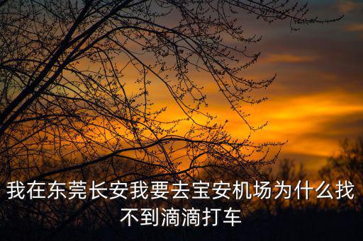 我在東莞長(zhǎng)安我要去寶安機(jī)場(chǎng)為什么找不到滴滴打車