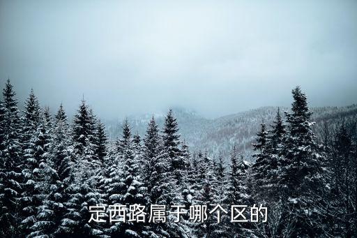 定西路屬于哪個區(qū)的