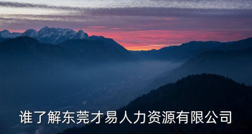 誰了解東莞才易人力資源有限公司