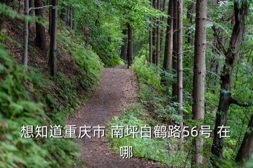 想知道重慶市 南坪白鶴路56號 在哪