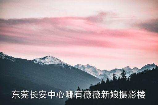 東莞長安中心哪有薇薇新娘攝影樓
