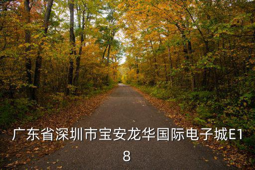 廣東省深圳市寶安龍華國際電子城E18