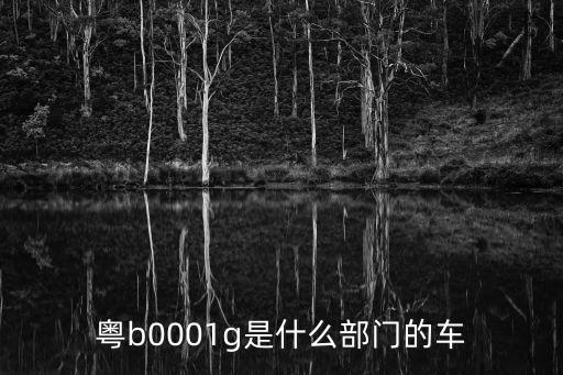 粵b0001g是什么部門的車