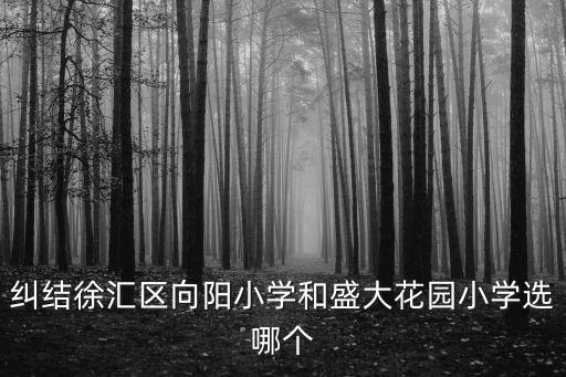 糾結(jié)徐匯區(qū)向陽(yáng)小學(xué)和盛大花園小學(xué)選哪個(gè)