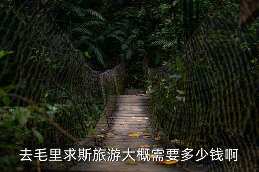 去毛里求斯旅游大概需要多少錢啊