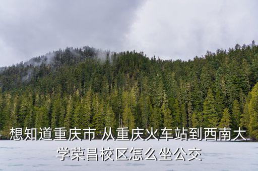 想知道重慶市 從重慶火車站到西南大學榮昌校區怎么坐公交