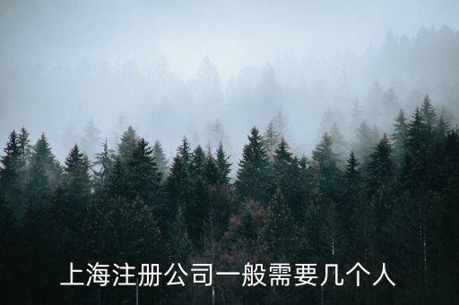 上海注冊公司一般需要幾個人