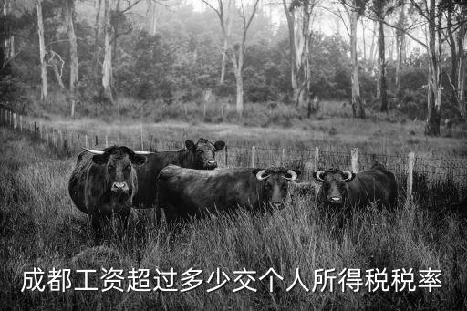 2018成都市個人所得稅，成都個稅起征點是多少