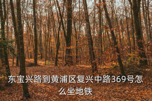 東寶興路到黃浦區(qū)復(fù)興中路369號(hào)怎么坐地鐵