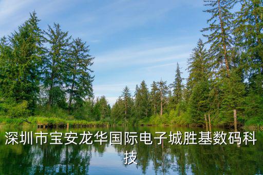 深圳市寶安龍華國際電子城勝基數(shù)碼科技