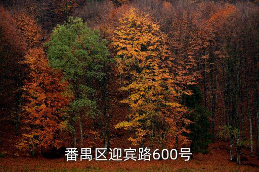 番禺區(qū)迎賓路600號