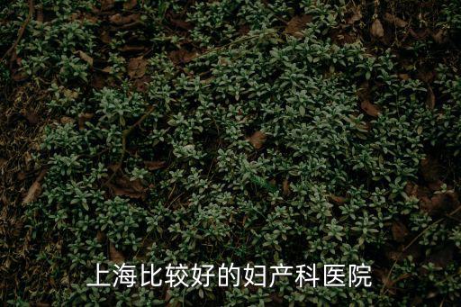 上海比較好的婦產科醫院