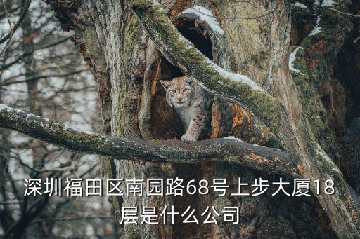 深圳福田千味涮，廣東省深圳市福田區(qū)福民路78號(hào)是什么店