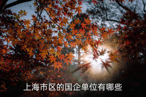 上海市區(qū)的國(guó)企單位有哪些
