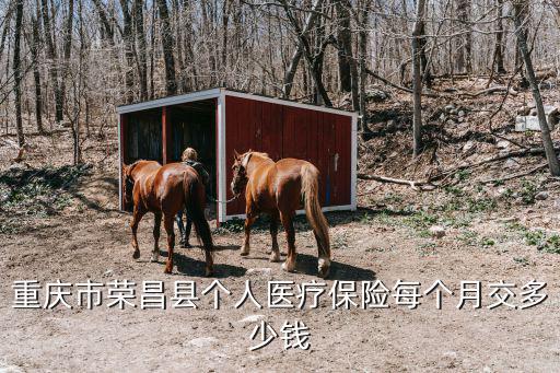 重慶市榮昌區(qū)金融辦主任，重慶市榮昌縣那里有賣內增高鞋墊