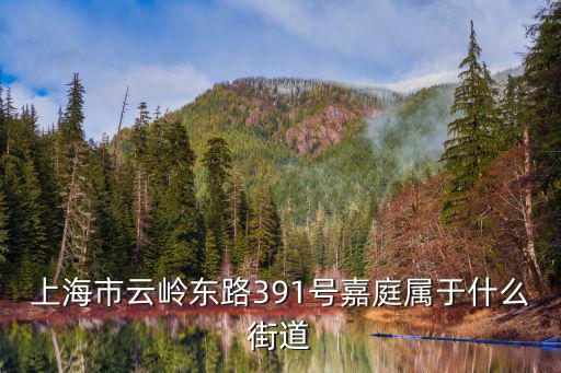 上海市云嶺東路391號(hào)嘉庭屬于什么街道