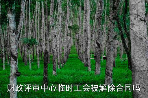 財政評審中心臨時工會被解除合同嗎