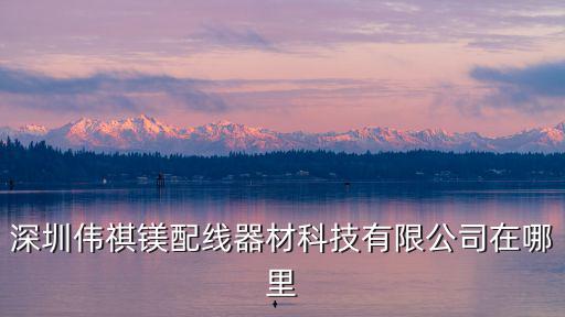 深圳偉艾鵬科技有限公司，深圳偉祺鎂配線器材科技有限公司在哪里