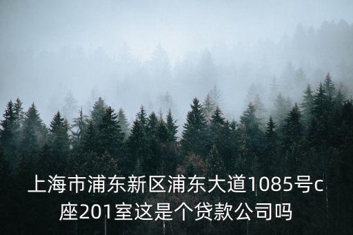 上海市浦東新區浦東大道1085號c座201室這是個貸款公司嗎