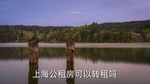 上海市公共租賃房管理辦法，上海公租房準入條件