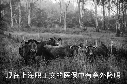 現在上海職工交的醫保中有意外險嗎