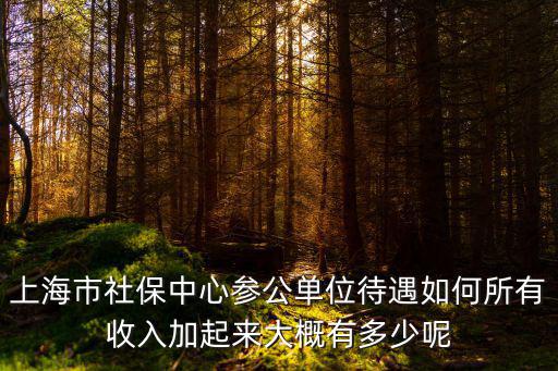 上海市社保中心參公單位待遇如何所有收入加起來大概有多少呢