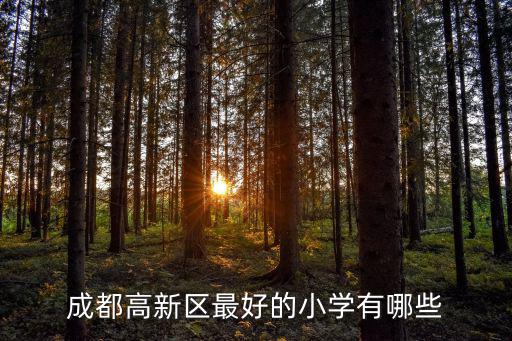 成都市高新區新城小學，我想知道成都比較好的小學有哪些附近有什么樓盤推薦嗎信訪而