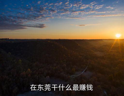 在東莞干什么最賺錢