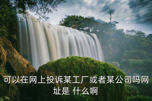 可以在網上投訴某工廠或者某公司嗎網址是 什么啊