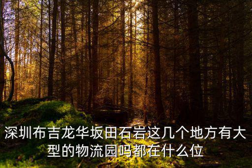 深圳布吉龍華坂田石巖這幾個地方有大型的物流園嗎都在什么位