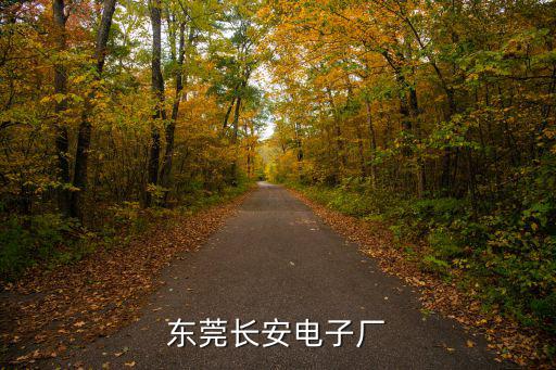東莞長安莊司電子廠，東莞長安哪些電子廠招工