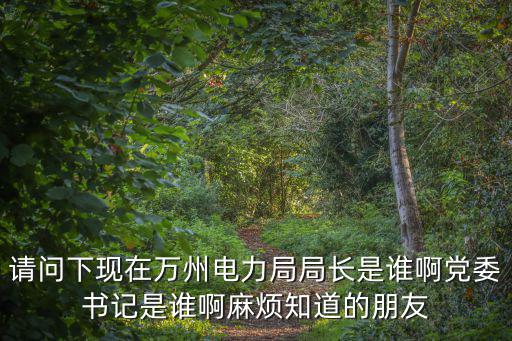 請問下現在萬州電力局局長是誰啊黨委書記是誰啊麻煩知道的朋友