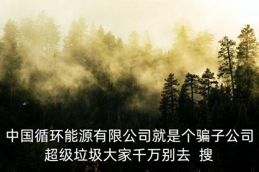 中國循環能源有限公司就是個騙子公司超級垃圾大家千萬別去  搜