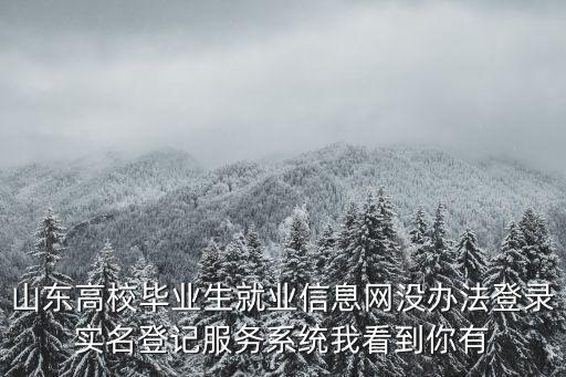 成都市高校畢業生就業管理系統，高校畢業生就業信息網實名管理服務系統填不了怎么辦急求解答