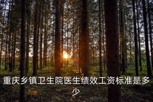 重慶鄉鎮衛生院醫生績效工資標準是多少