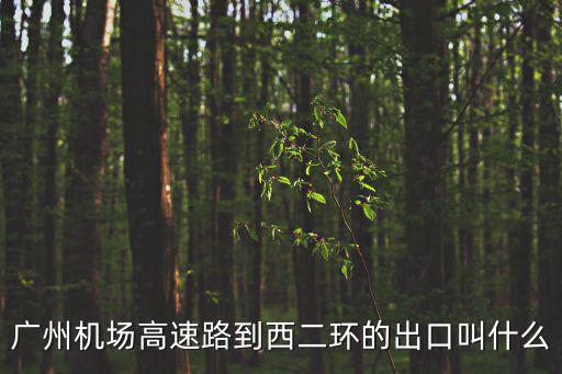廣州機場高速路到西二環的出口叫什么
