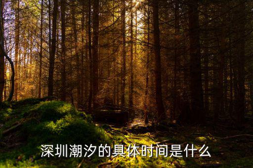 深圳潮汐的具體時(shí)間是什么
