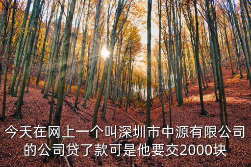 今天在網上一個叫深圳市中源有限公司的公司貸了款可是他要交2000塊