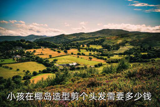 深圳椰島造型價(jià)格表，鐘家村車站旁新開的椰島造型怎么樣價(jià)格高不高