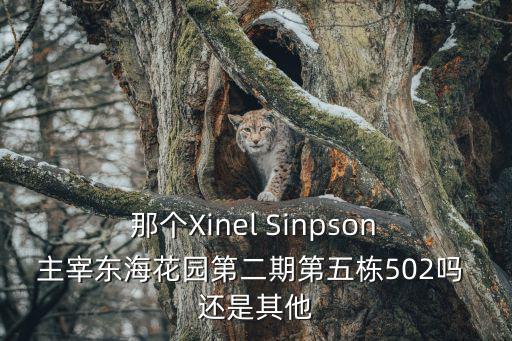  那個Xinel Sinpson 主宰東?；▓@第二期第五棟502嗎 還是其他