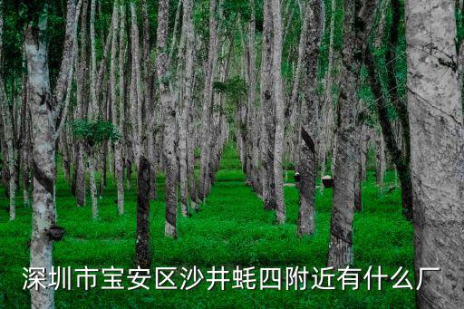 深圳市寶安區沙井蠔四附近有什么廠